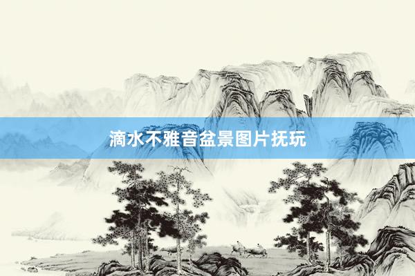 滴水不雅音盆景图片抚玩