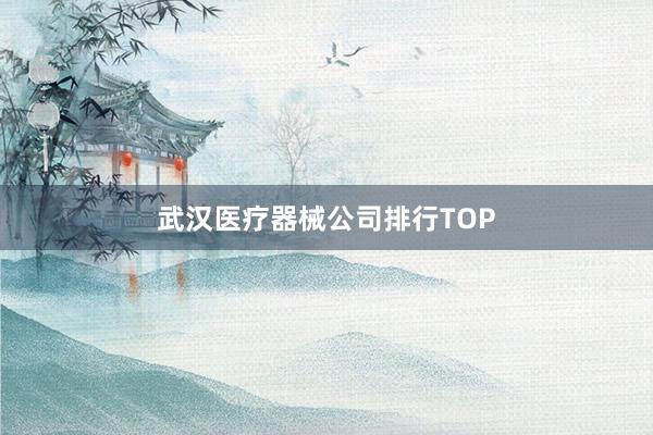 武汉医疗器械公司排行TOP