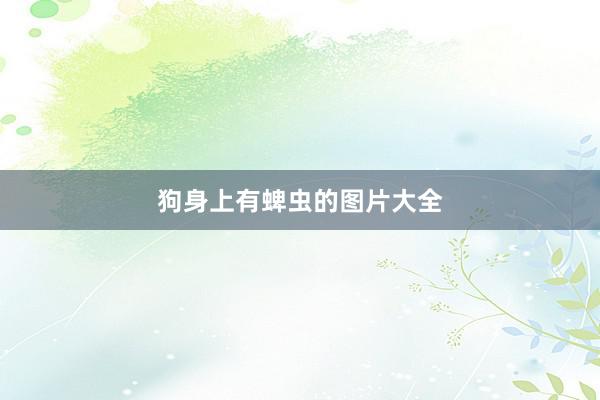 狗身上有蜱虫的图片大全